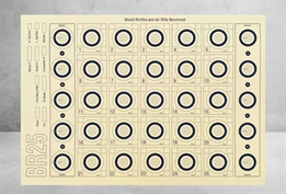 Benchrest Skydeskiver 25 m, 100 stk 